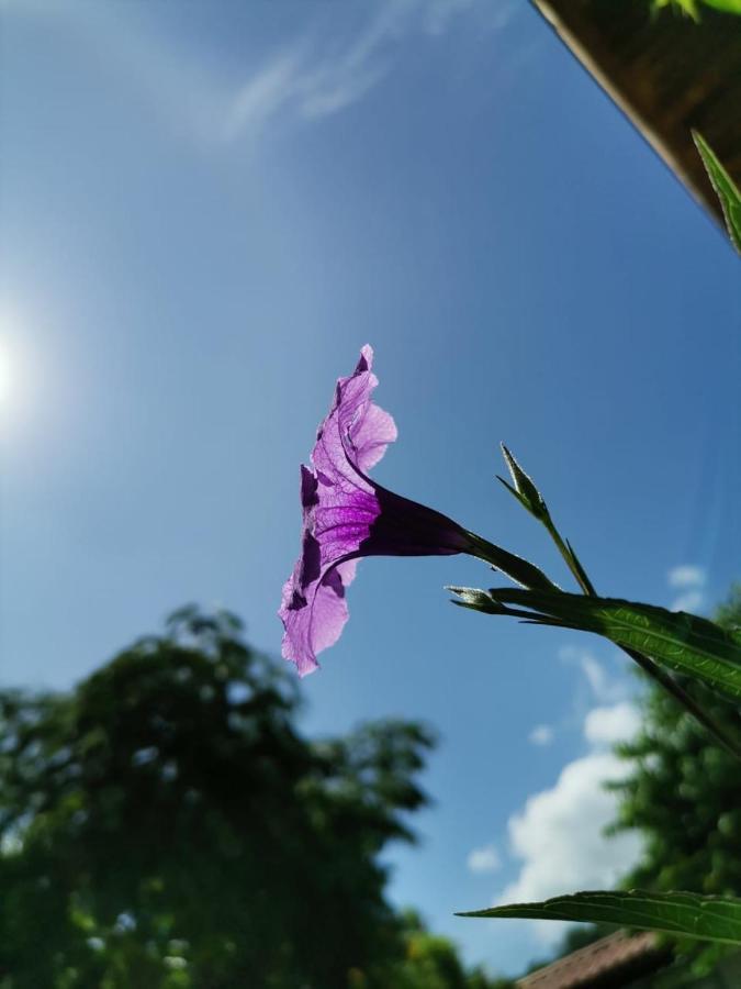 Hotel Apartamentos Herradura #7,#9 Puntarenas Exterior photo